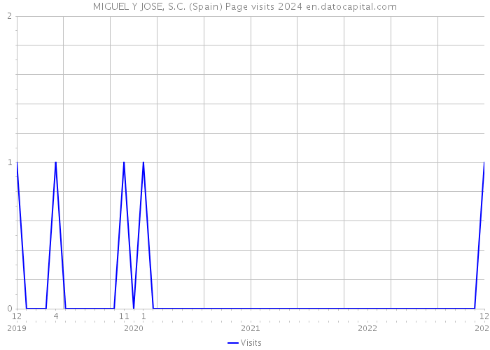 MIGUEL Y JOSE, S.C. (Spain) Page visits 2024 