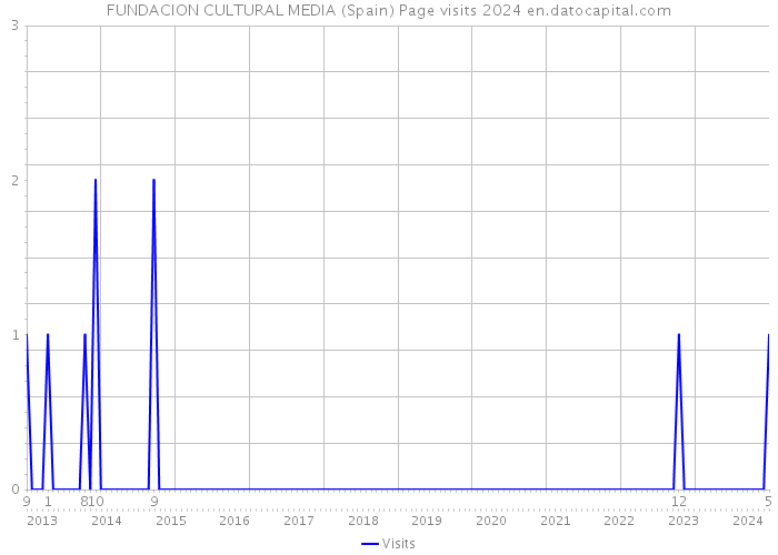 FUNDACION CULTURAL MEDIA (Spain) Page visits 2024 