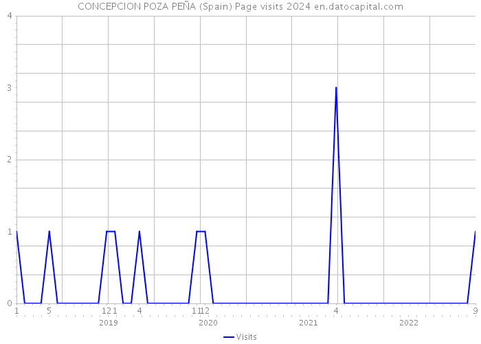 CONCEPCION POZA PEÑA (Spain) Page visits 2024 