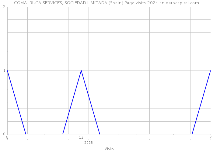 COMA-RUGA SERVICES, SOCIEDAD LIMITADA (Spain) Page visits 2024 