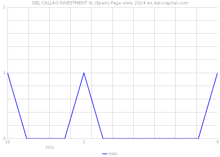 DEL CALLAO INVESTMENT SL (Spain) Page visits 2024 