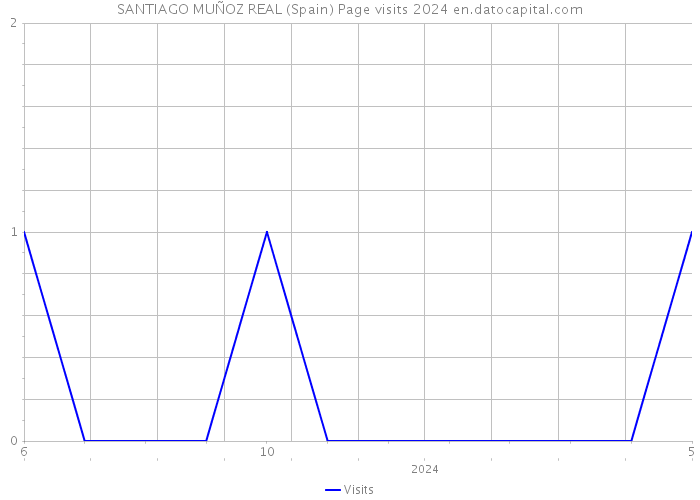 SANTIAGO MUÑOZ REAL (Spain) Page visits 2024 