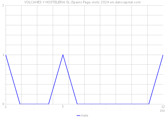 VOLCANES Y HOSTELERIA SL (Spain) Page visits 2024 