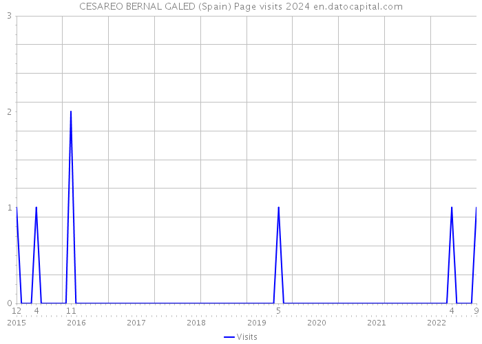 CESAREO BERNAL GALED (Spain) Page visits 2024 