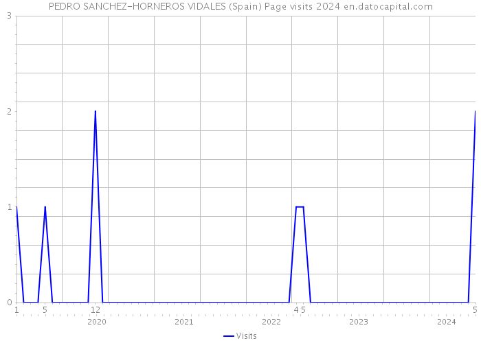 PEDRO SANCHEZ-HORNEROS VIDALES (Spain) Page visits 2024 