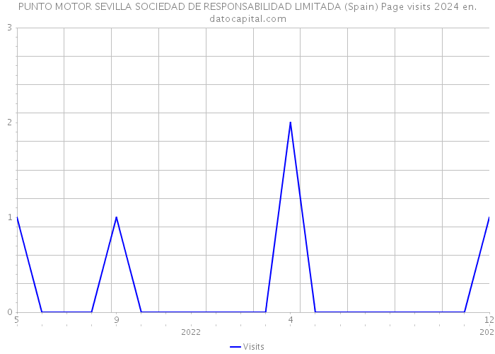 PUNTO MOTOR SEVILLA SOCIEDAD DE RESPONSABILIDAD LIMITADA (Spain) Page visits 2024 