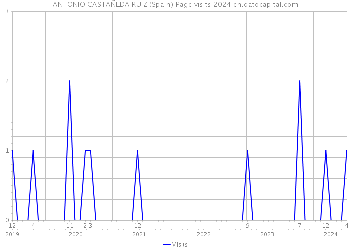 ANTONIO CASTAÑEDA RUIZ (Spain) Page visits 2024 