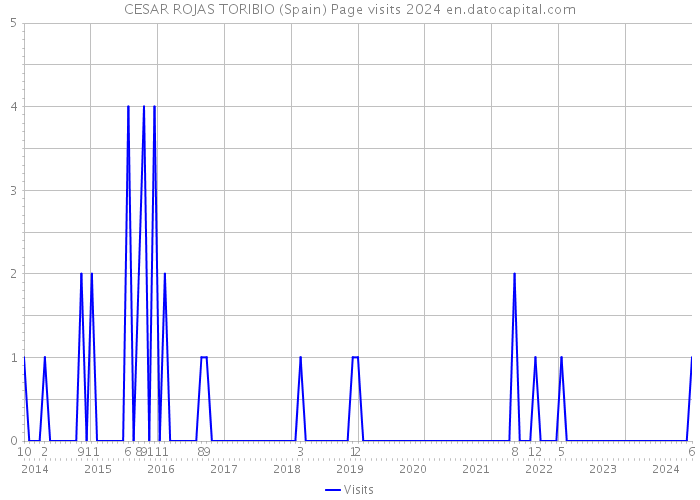 CESAR ROJAS TORIBIO (Spain) Page visits 2024 