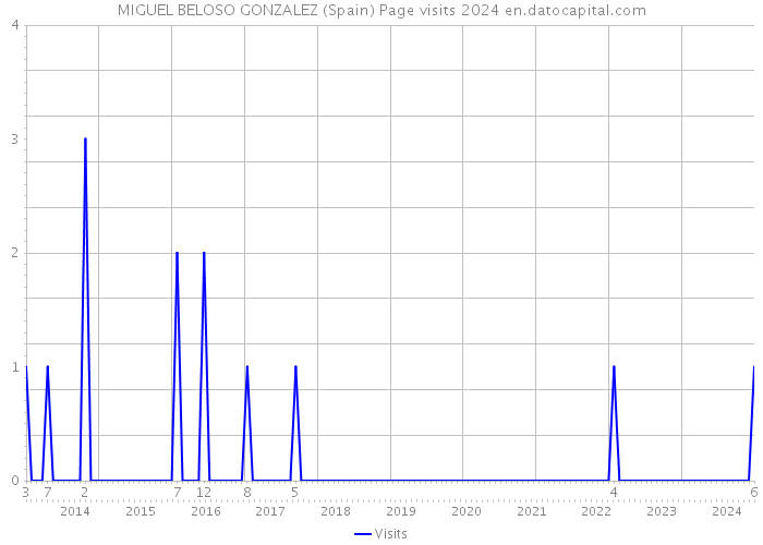 MIGUEL BELOSO GONZALEZ (Spain) Page visits 2024 