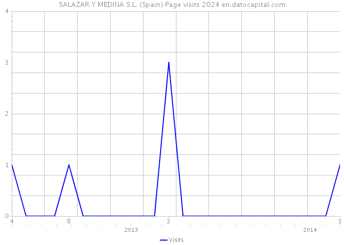 SALAZAR Y MEDINA S.L. (Spain) Page visits 2024 
