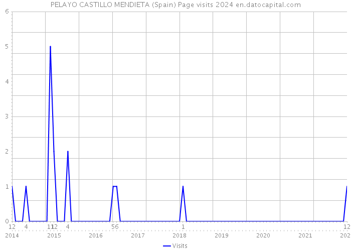 PELAYO CASTILLO MENDIETA (Spain) Page visits 2024 