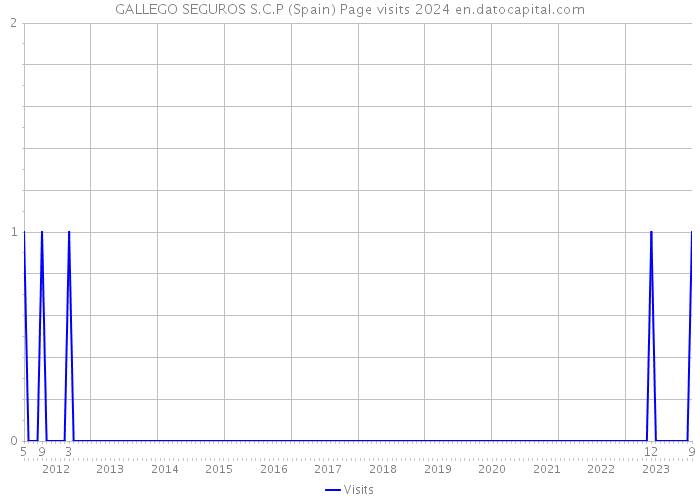 GALLEGO SEGUROS S.C.P (Spain) Page visits 2024 