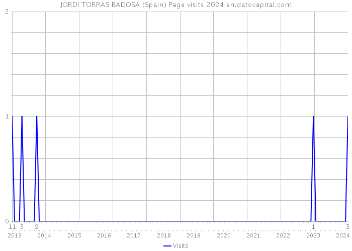 JORDI TORRAS BADOSA (Spain) Page visits 2024 