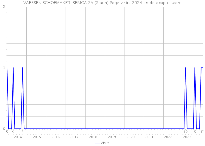 VAESSEN SCHOEMAKER IBERICA SA (Spain) Page visits 2024 