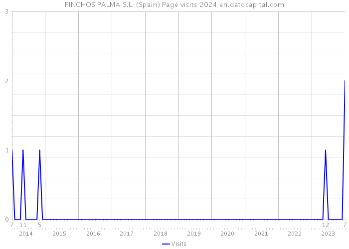 PINCHOS PALMA S.L. (Spain) Page visits 2024 