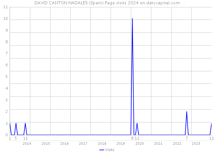 DAVID CANTON NADALES (Spain) Page visits 2024 
