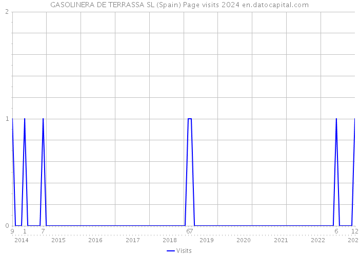 GASOLINERA DE TERRASSA SL (Spain) Page visits 2024 