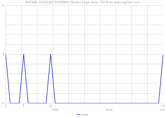 RAFAEL VAZQUEZ ROMERO (Spain) Page visits 2024 