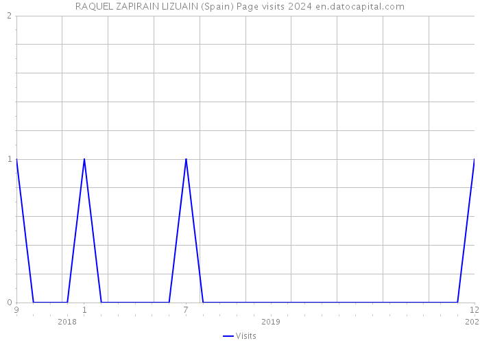 RAQUEL ZAPIRAIN LIZUAIN (Spain) Page visits 2024 