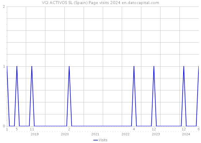 VGI ACTIVOS SL (Spain) Page visits 2024 