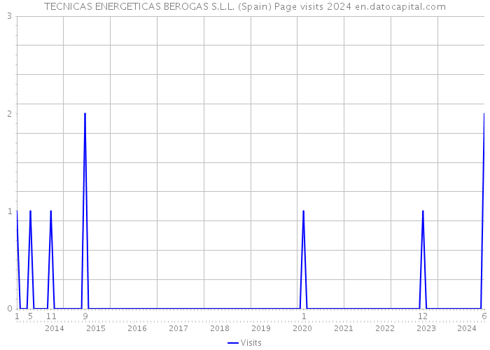 TECNICAS ENERGETICAS BEROGAS S.L.L. (Spain) Page visits 2024 