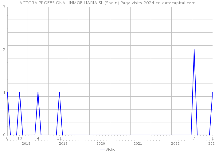 ACTORA PROFESIONAL INMOBILIARIA SL (Spain) Page visits 2024 