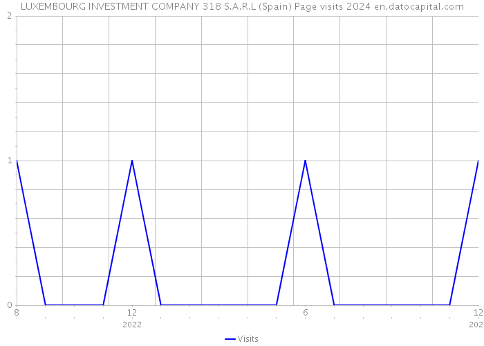 LUXEMBOURG INVESTMENT COMPANY 318 S.A.R.L (Spain) Page visits 2024 