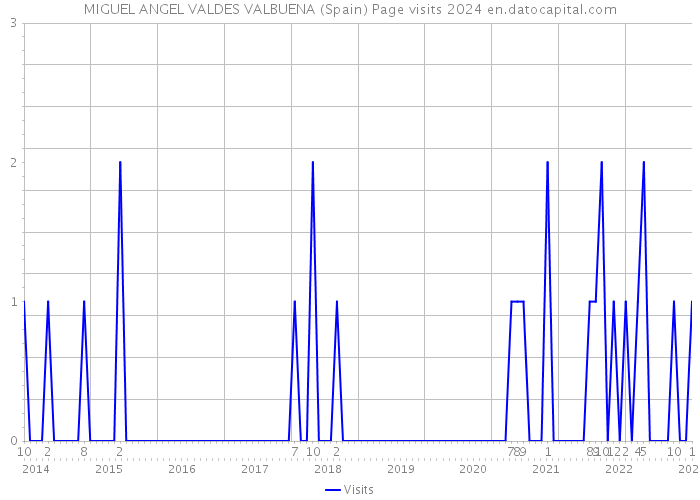 MIGUEL ANGEL VALDES VALBUENA (Spain) Page visits 2024 