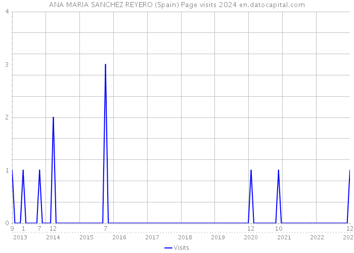 ANA MARIA SANCHEZ REYERO (Spain) Page visits 2024 