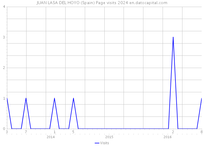 JUAN LASA DEL HOYO (Spain) Page visits 2024 