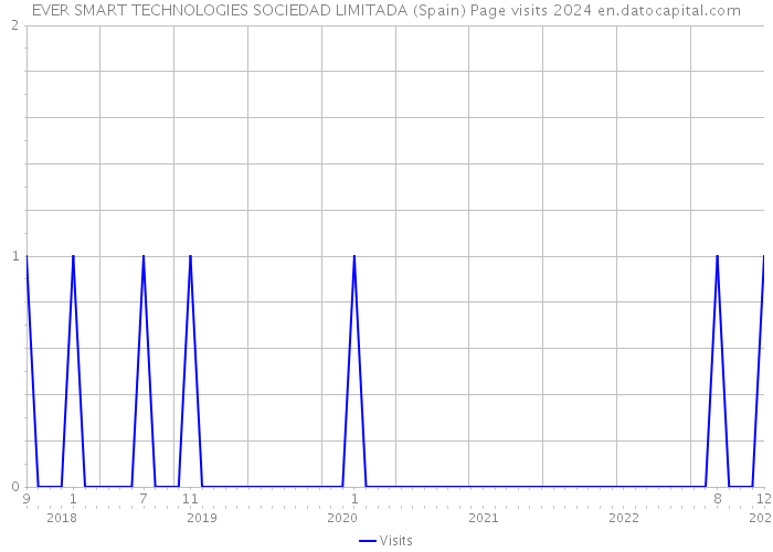 EVER SMART TECHNOLOGIES SOCIEDAD LIMITADA (Spain) Page visits 2024 