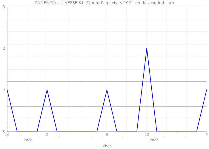 SAPIENCIA UNIVERSE S.L (Spain) Page visits 2024 