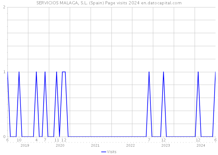 SERVICIOS MALAGA, S.L. (Spain) Page visits 2024 