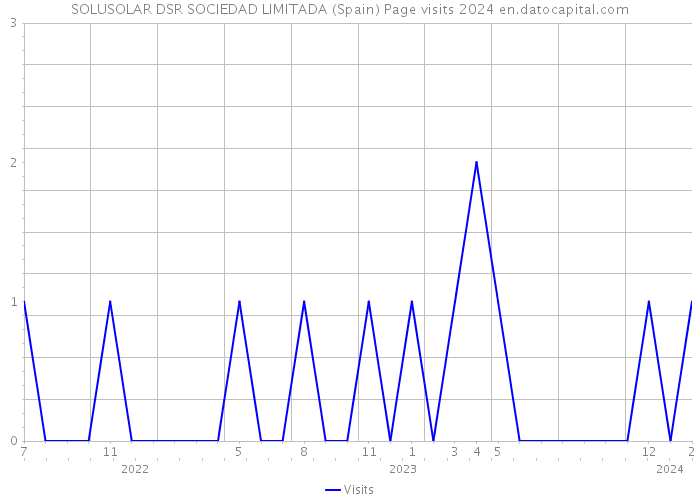 SOLUSOLAR DSR SOCIEDAD LIMITADA (Spain) Page visits 2024 