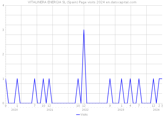 VITALINERA ENERGIA SL (Spain) Page visits 2024 