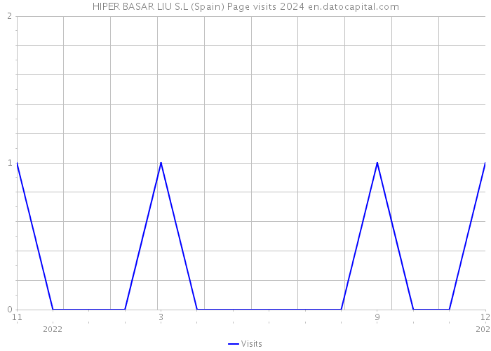 HIPER BASAR LIU S.L (Spain) Page visits 2024 