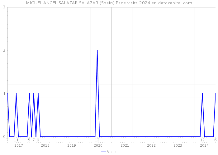 MIGUEL ANGEL SALAZAR SALAZAR (Spain) Page visits 2024 