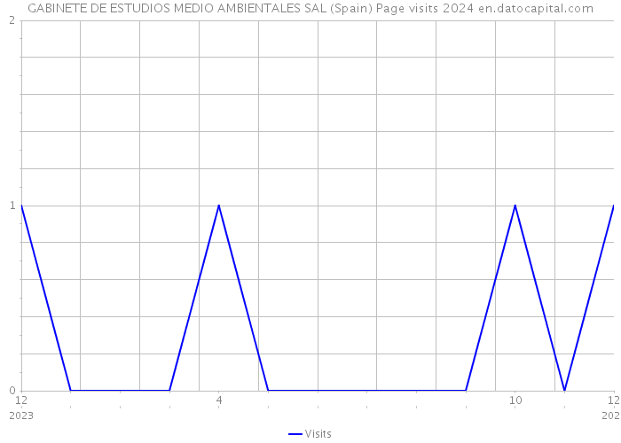 GABINETE DE ESTUDIOS MEDIO AMBIENTALES SAL (Spain) Page visits 2024 
