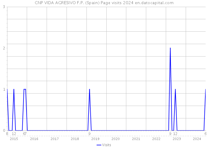 CNP VIDA AGRESIVO F.P. (Spain) Page visits 2024 