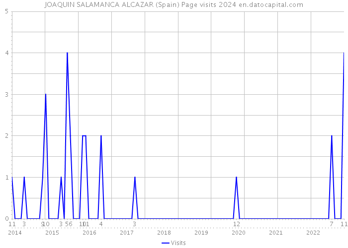 JOAQUIN SALAMANCA ALCAZAR (Spain) Page visits 2024 