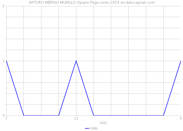 ARTURO MERINO MURILLO (Spain) Page visits 2024 
