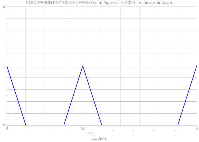 CONCEPCION PASTOR CACERES (Spain) Page visits 2024 