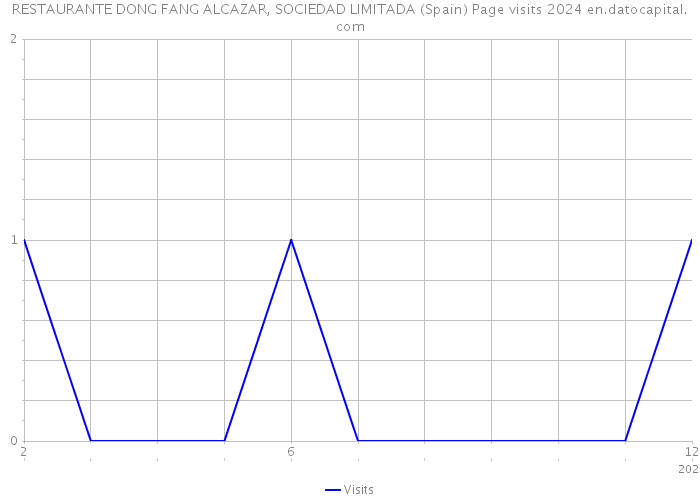 RESTAURANTE DONG FANG ALCAZAR, SOCIEDAD LIMITADA (Spain) Page visits 2024 