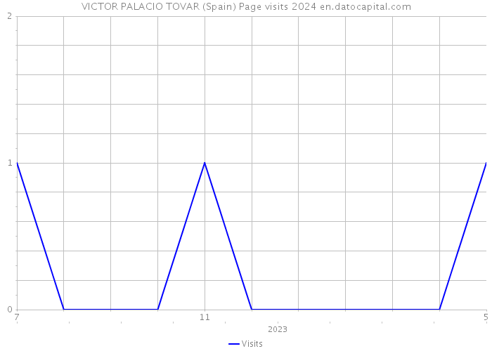 VICTOR PALACIO TOVAR (Spain) Page visits 2024 