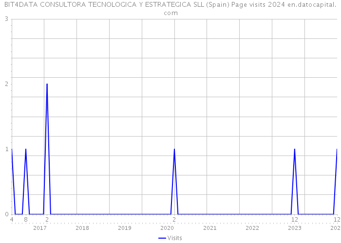 BIT4DATA CONSULTORA TECNOLOGICA Y ESTRATEGICA SLL (Spain) Page visits 2024 