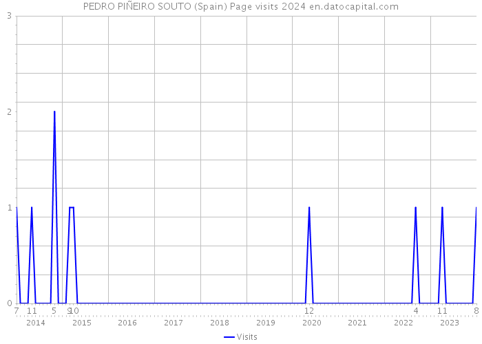 PEDRO PIÑEIRO SOUTO (Spain) Page visits 2024 