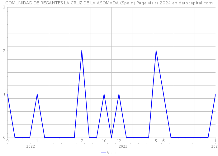 COMUNIDAD DE REGANTES LA CRUZ DE LA ASOMADA (Spain) Page visits 2024 