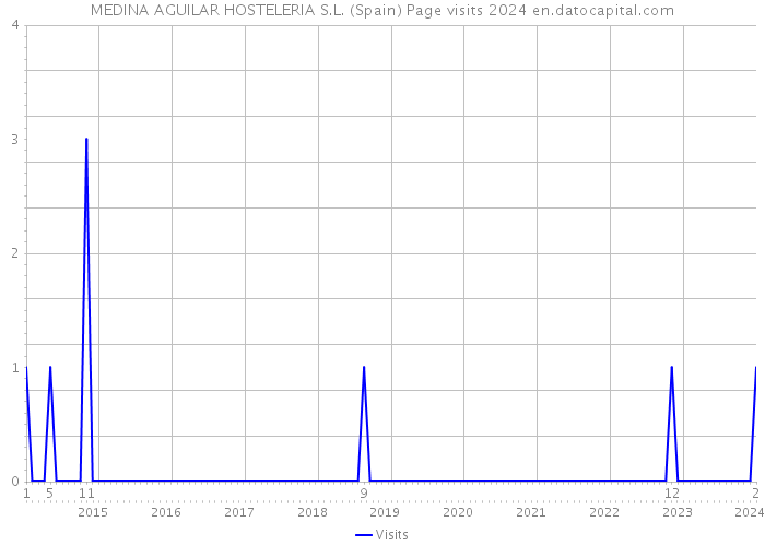 MEDINA AGUILAR HOSTELERIA S.L. (Spain) Page visits 2024 