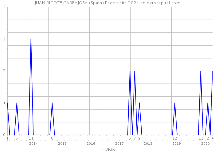 JUAN RICOTE GARBAJOSA (Spain) Page visits 2024 