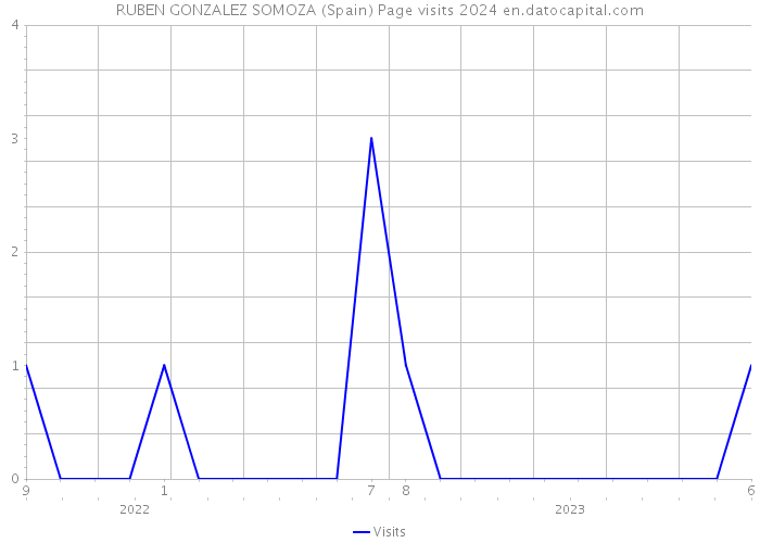 RUBEN GONZALEZ SOMOZA (Spain) Page visits 2024 